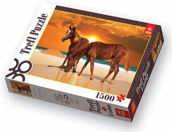 ビーチの馬