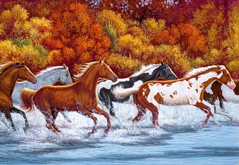 すべての色の馬