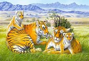 タイガー家族