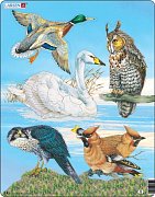 鳥を補う