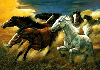 7頭の野生の馬