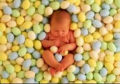 卵子の赤ちゃん